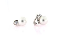 Orecchini Forever Gioielli Donna Orecchini Argento in Argento Perla FGOR00075 - FGOR00075